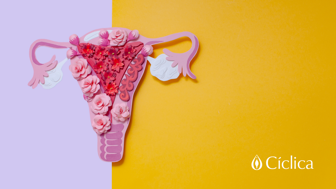 Endometriosis: Una enfermedad silenciosa que no debemos ignorar
